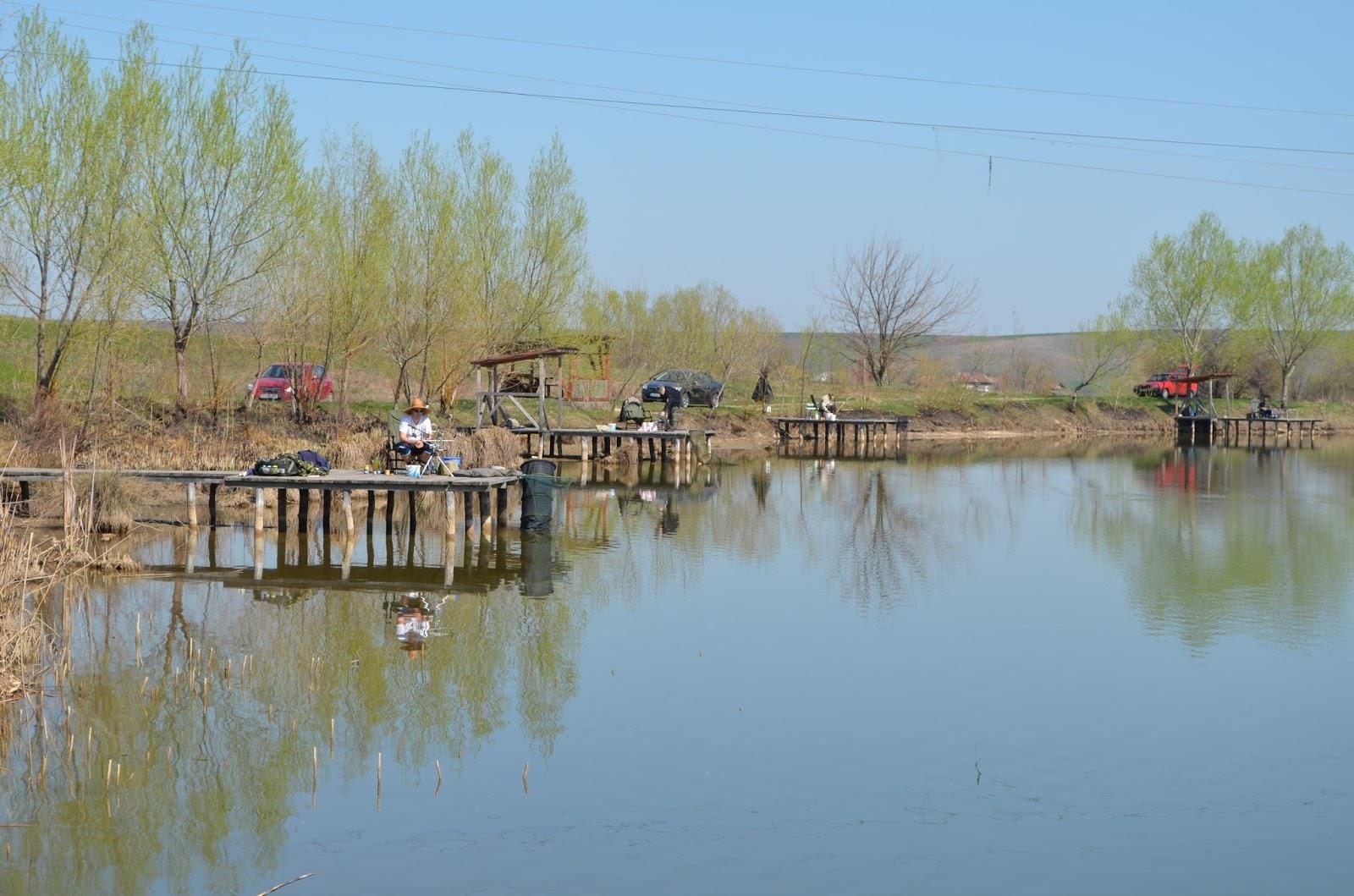 Teslui 2014 - part 2 - image11111111.jpg